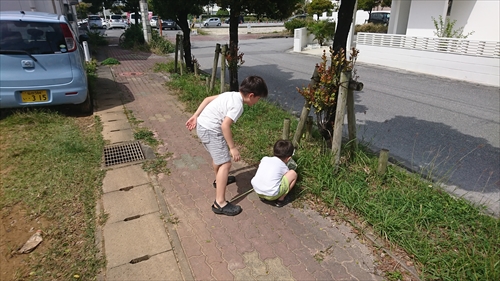 30日・暖かい土曜日！